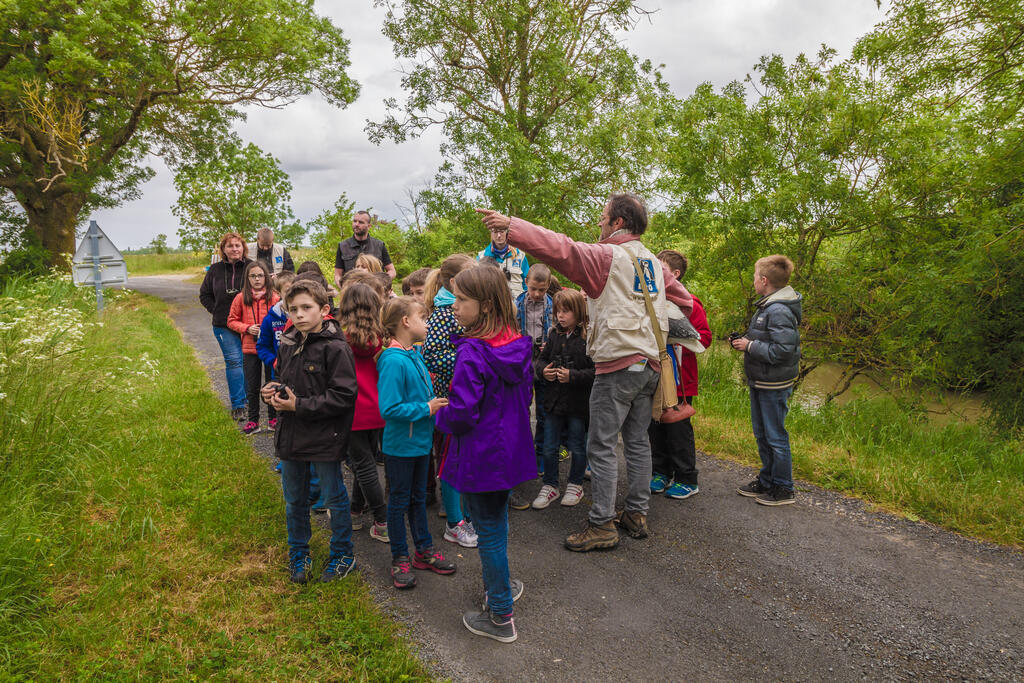 Sortie chant d'oiseaux, initiation au protocole STOC